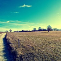 迪丽热巴的奶音,迪丽热巴在《一千零一夜》发