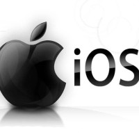 教你学会唱日语歌|樱花樱花想见你