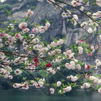 亲子拼图游戏:托马斯小火车拼图游戏