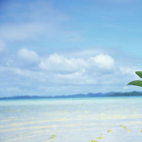 米娅回家继续欢腾地跳舞,豆瓣高分低俗小说