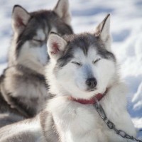 范冰冰李晨合体宣传新电影 李晨首次当导演