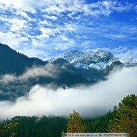 汤米清水迷你世界联机 汤米老师解密逃婚地图