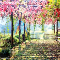 美女去男朋友家里吃饭,对方父母却说男孩已经