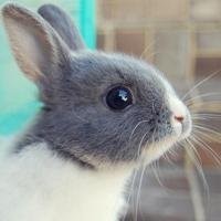 拳皇97 无限龙虎霸王拳一直打晕对手 你能醒算