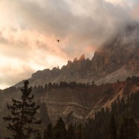 最近抖音又把这首老歌《天下有情人》带火,粤