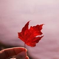 俄罗斯世界杯组委会CEO:国际形势不会影响门