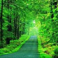 王者荣耀搞笑视频:亚瑟排位赛实战,出装推荐