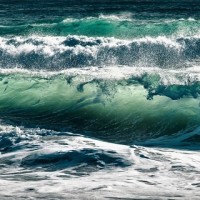 苹果加蜂蜜自制面膜,再也不怕皮肤黑,比美白面