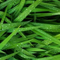 轻奢品牌多用途包包分享篇,适合学生党,上班族