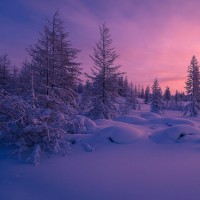 《怀旧金曲合集》,每一个60后70后80后的最爱