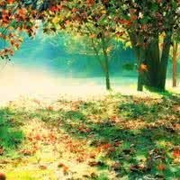 这部影片云集了李连杰、关之琳、元彪、郑则士