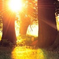 迷你世界:蜂巢块消除计划,小铃铛被木鱼套路,气