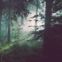 盲约:蒋欣特别心疼亲爸当保姆,但是亲爸表示为