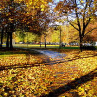 回顾:当年的野兽巴蒂斯塔连高柏都不怵,将战神