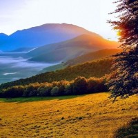 王者荣耀:猪八戒VS孙悟空,看来只有孙悟空能欺