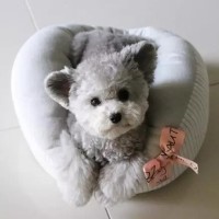 宅音社2016伤感dj舞曲红尘情歌串烧试听