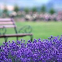 青山跑霍比特之旅是开飞机的,我是玩碰碰车的