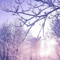 橡胶手套破洞了怎么办,教你这样补一补,防水效