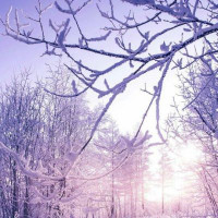 最近这个撩小哥哥的套路很火,小姐姐太可爱了