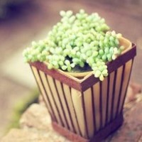 古筝摇指技巧教学视频 如何快速学好古筝 古筝