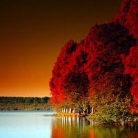 无极在水下和扶摇嬉戏,两人的水中亲吻也太浪