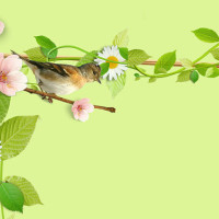 wwe女子撕衣撕精光 打架2016年3月27中文解