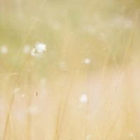 小伙说要帮女友扎头发,当音乐响起来画风突变