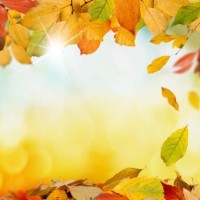 小伙上场就骂张大大是块五花肉,两人直接开撕