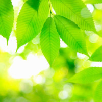 内双仙女三分钟就出门快手温柔眼妆