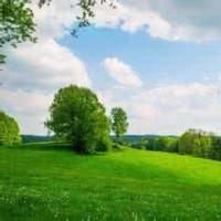 东北二人转:老来难,报母恩,真感人!