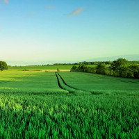 教你把照片视频免费保存在微信群空间,手机立