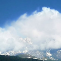 达州南城友谊广场舞交谊舞探戈《花开的时候来