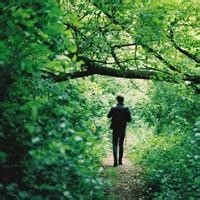 王者荣耀:这刘禅太敢玩了,无尽破军秒猴子,无兵