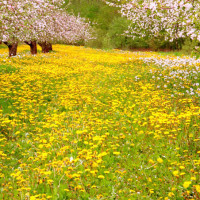 正经体验2选什么千元索尼入门视频机推荐Son