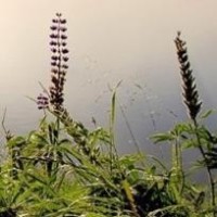 我的世界第15集:方块Q学园!