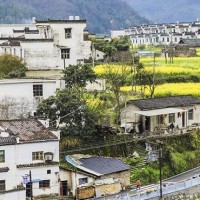 神超上单诺手细节单杀对线船长 观众这船长是