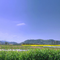 神超上单诺手细节单杀对线船长 观众这船长是