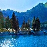 成龙投资新电影《黄金兄弟》古惑仔四兄弟重聚