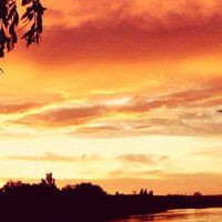 北美第一盲僧大胡子gripex,不仅gank猛入虎,救