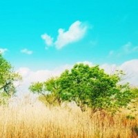 美女打诈骗电话,没想遇到吹牛小伙,要贷款20亿