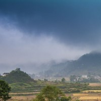 迷你世界:解密生存大全,汤米清水!