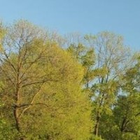 地下城与勇士:这个职业很好玩的,最重要的是,帅