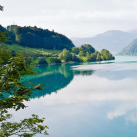 杨幂重回大学生电影节,感叹时光飞逝:上次来还