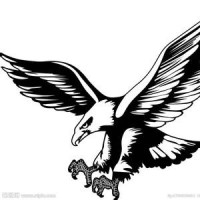 第五人格:共研服宿伞之魂试玩,黑白无常还会穿