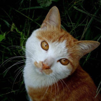 一晃就老了漂亮姑娘深情翻唱歌曲,声音美妙,歌