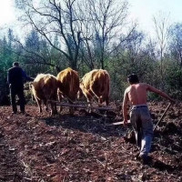 中国最火的手游,排行榜前5名出炉,王者荣耀仅