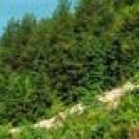 不用喉咙也能唱歌吗?听听张学友怎么说!