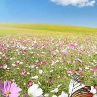 无限法则:最穷的一局,决赛圈都在要子弹,还好位