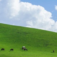 王者荣耀两个国服李白solo,开了10个大招