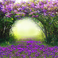 硬币隔空穿进玻璃杯,怎么做到的?看完后我学会